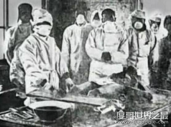 马路大是什么意思,侵华日军731污辱人体实验的称呼