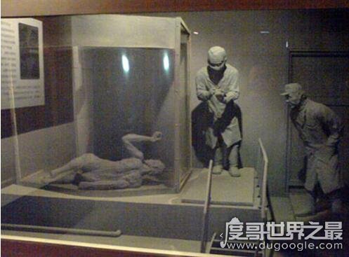 马路大是什么意思,侵华日军731污辱人体实验的称呼